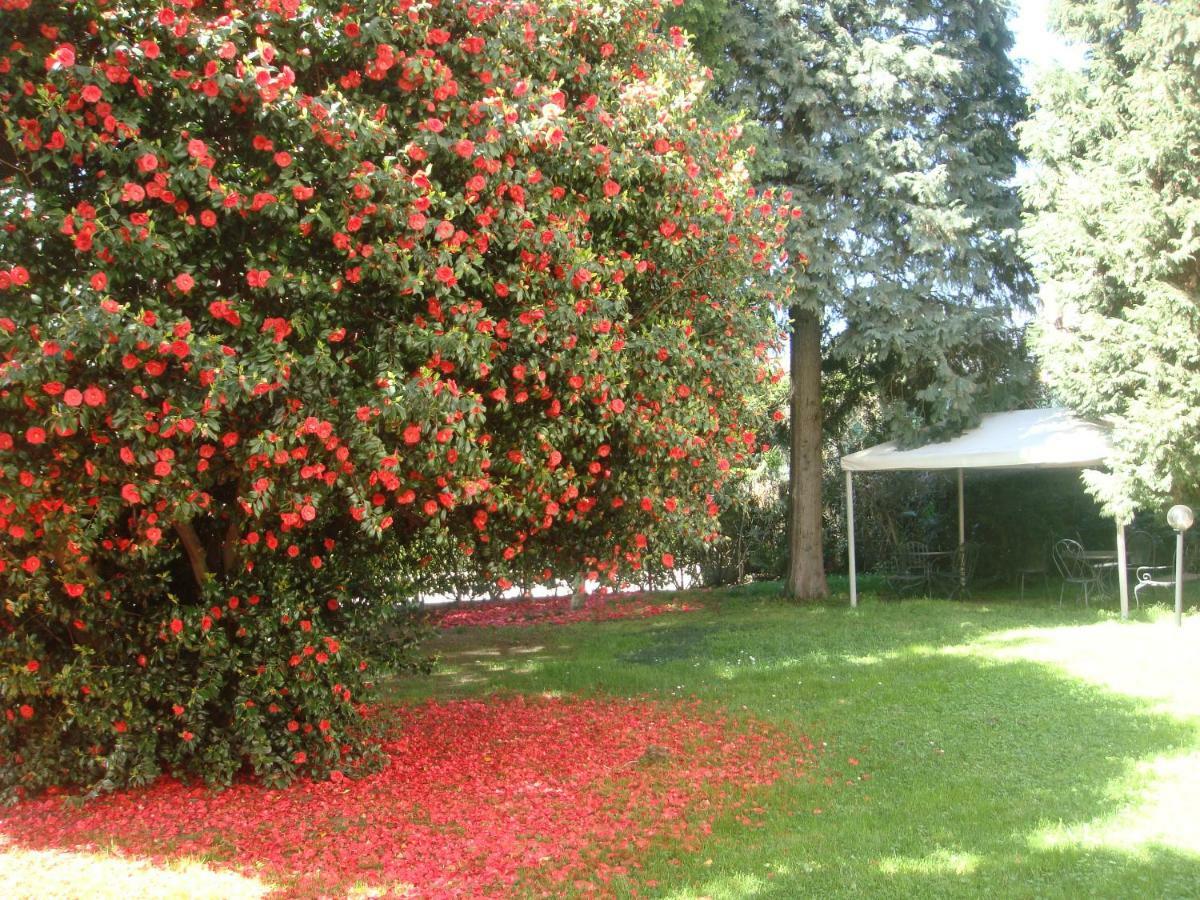 Villa Cardano Maccagno Close To Every Destination Экстерьер фото