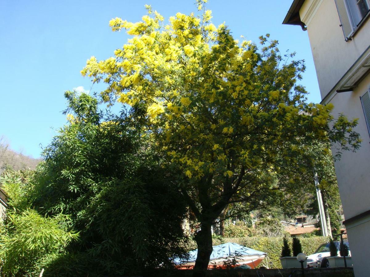 Villa Cardano Maccagno Close To Every Destination Экстерьер фото